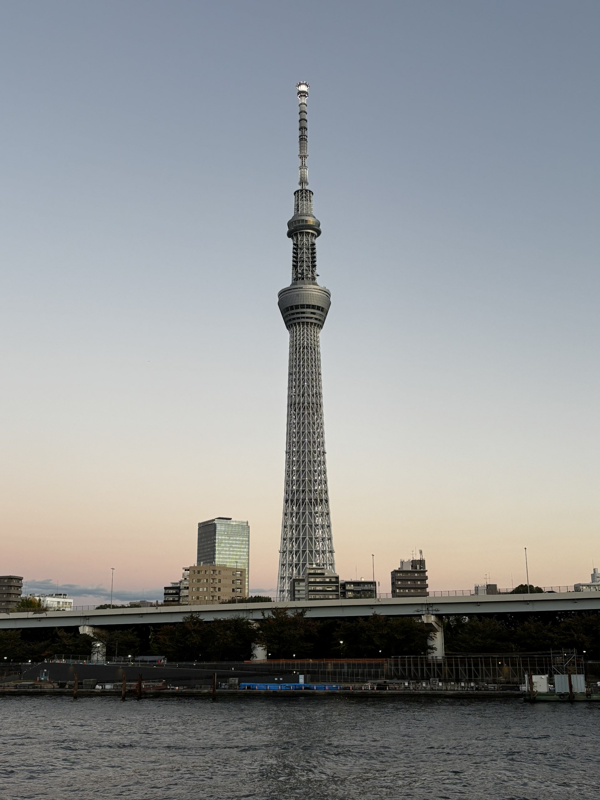 Tokyo trip photo 1